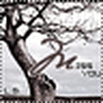 Profile Picture of Al-suwaidi (@al-suwaidi) on Flickr