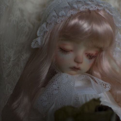 Profile Picture of cass (@cassidybrenndolo) on Tiktok