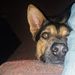 Profile Picture of Bryan Hoon (@bhoon40) on Pinterest