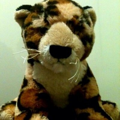 Profile Picture of Gillian McKay (@gilleemckay) on Twitter