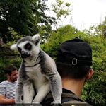 Profile Picture of Thomas Dominguez Gonzalez (@thomas.dominguez.gonzalez) on Instagram