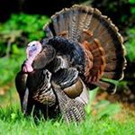 Profile Picture of Barry Millman (@threepairsphoto) on Instagram