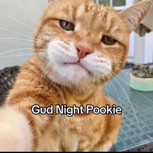 Profile Picture of Alto (@alto7348) on Poshmark