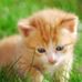 Profile Picture of Julian Bernier (@julian.bernier.9) on Facebook