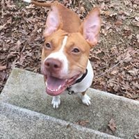 Profile Picture of Dana Poole (@dana-poole-8) on Quora
