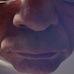 Profile Picture of Nick Marden (@nick.marden.54) on Facebook