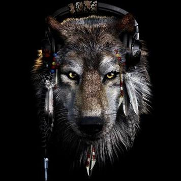 Profile Picture of Joshua Feather (@shark281986) on Twitter