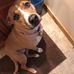 Profile Picture of Lisa Schmidt Lenox (@lisa.lenox.1) on Facebook