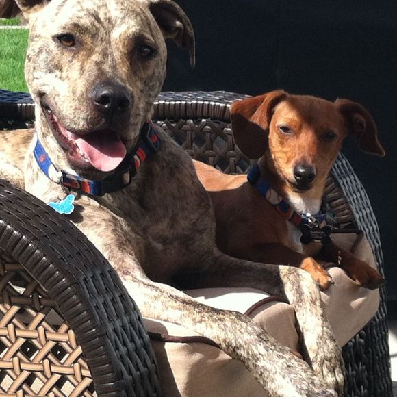 Profile Picture of Krissy Devito (@krissyouwe) on Poshmark