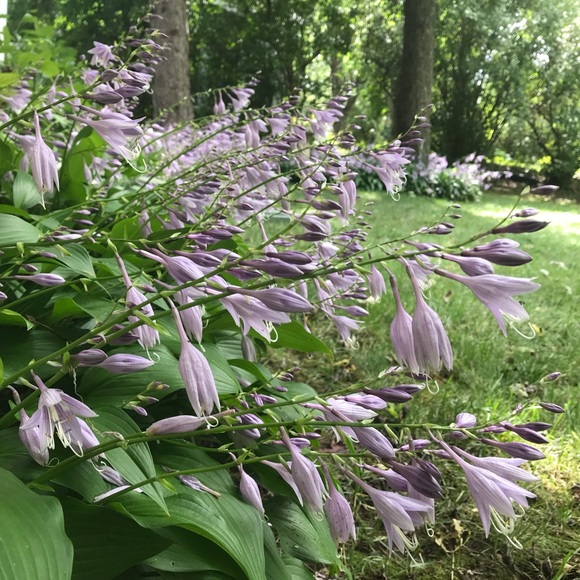 Profile Picture of Kayla Blaschke (@blueekittenn3) on Poshmark