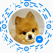 Eva Kovacs - Youtube Profile Picture of Eva Kovacs (@evakovacs1968) on Youtube