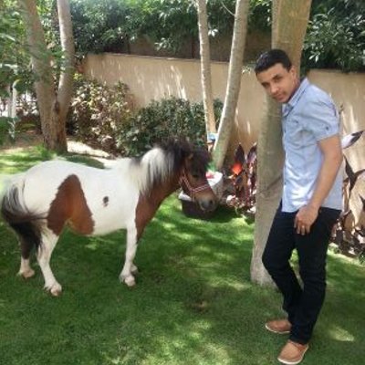 Amir Khalifa - Twitter Profile Picture of Amir Khalifa (@amirkhalifa100) on Twitter
