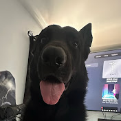 Alex Knight - Youtube Profile Picture of Alex Knight (@myboringbedroom) on Youtube