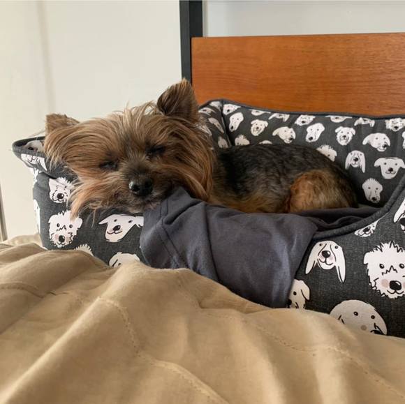 Profile Picture of Sean Westbrooks (@seanwestbrooks) on Poshmark