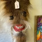 Profile Picture of Brad Licklider (@ugotlickyed) on Facebook