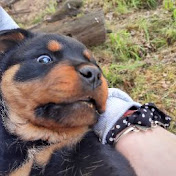 Profile Picture of Tomas Avalos (@tomasavalos4798) on Youtube