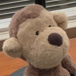 Profile Picture of Brett Gingold (@brett_gingold) on Instagram