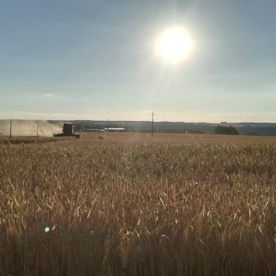 Profile Picture of Lise Gauthier (@LiseGauthier89) on Twitter