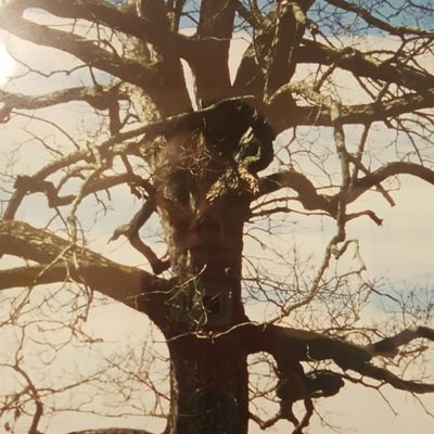 Profile Picture of Rita Casey (@AVLocalCleaning) on Twitter