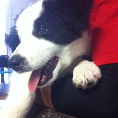 Profile Picture of Kevin McKiernan (@kevinjmck) on Twitter