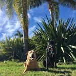 Profile Picture of Mike Luskin (@mikeluskin) on Instagram