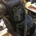 Profile Picture of Robin Dunlop (@robin.dunlop.581) on Facebook