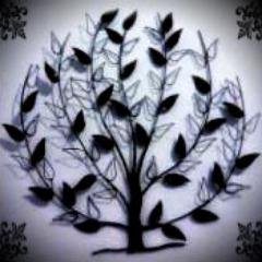 Profile Picture of Deborah O'Carroll (@Carroll__Jones6) on Twitter