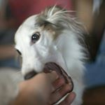 Profile Picture of James Gagnon (@nongagsemaj) on Instagram