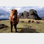 Profile Picture of Lesley Swift (@dartlow) on Instagram