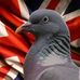 Profile Picture of Herbert Bacon (@herbert.bacon.319) on Facebook