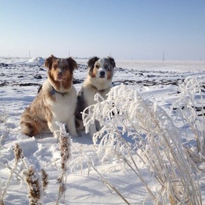 Profile Picture of Craig Whitman (@craig_whitman) on Twitter