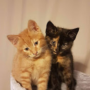 Profile Picture of Damien Byrne (@damienbyrne100) on Youtube