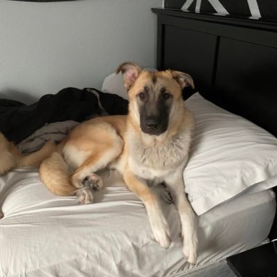 Profile Picture of John Ostrowski (@johnost14764589) on Twitter