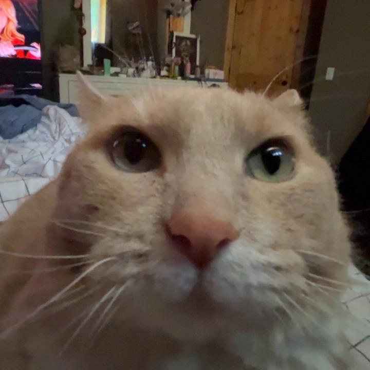 Profile Picture of Alexa (@alexa.boychuk) on Tiktok