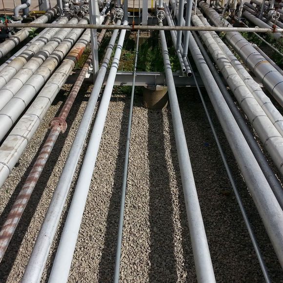 Profile Picture of Jeff Sadar (@jeffhype) on Poshmark