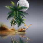 Profile Picture of Dung Vuong (@dung.vuong.547) on Facebook