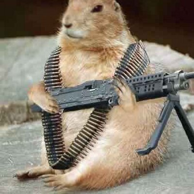 Profile Picture of William Anthony Coop (@@anthony_coop) on Twitter