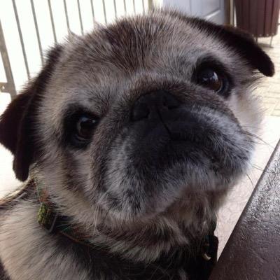 Profile Picture of Stephen Hinson (@stainlesteve) on Twitter