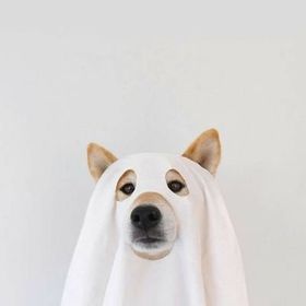 Profile Picture of Marta Marty (@simpaticissimar) on Pinterest