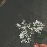 Profile Picture of samyoo (@geek_36) on Instagram