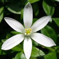 Profile Picture of Jasmine Goodwin (@jasmine-goodwin-7) on Quora