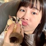 Profile Picture of 雞米花Jimmy & Mom (@sugarglider_jimmy) on Instagram