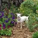 Profile Picture of Alice McCombs (@alice.mccombs.9) on Instagram