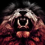 Profile Picture of Alexander Spear (@Alexander-Spear) on Facebook