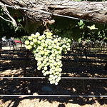 Profile Picture of John Polzer (@john polzer) on Flickr