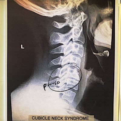 Profile Picture of Andy Bruner (@RealAndyBruner) on Twitter