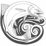 Profile Picture of Damien O'Brien (@damienobrien1969) on Instagram