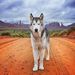 Profile Picture of Kathy Renfro (@raygrrrl) on Pinterest