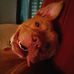 Profile Picture of Shana Bradshaw (@shana.bradshaw.5) on Facebook