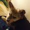 Profile Picture of Sonya Schultz (@sonya.schultz.5209) on Facebook